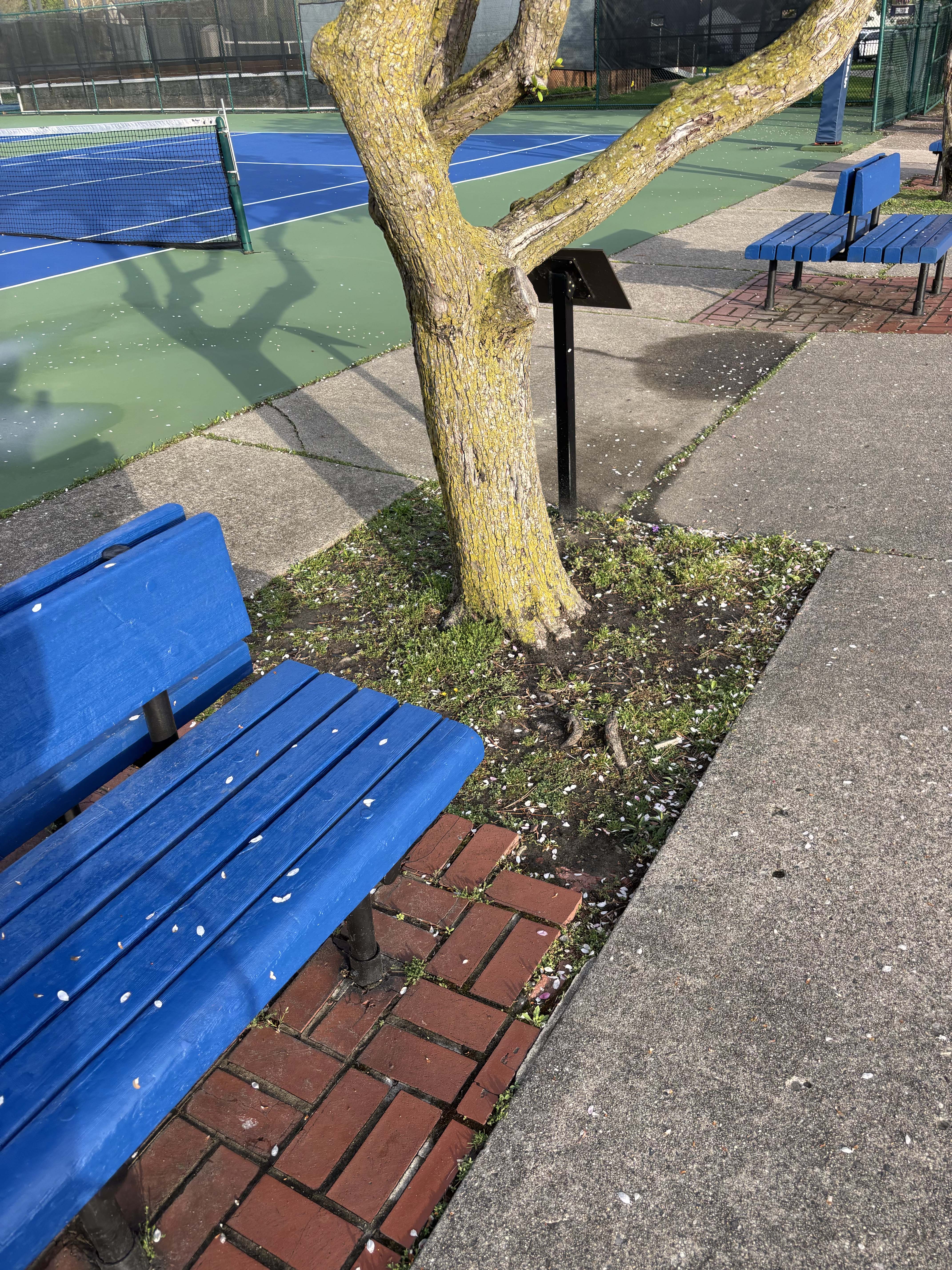 Community activity at Elworthy Field