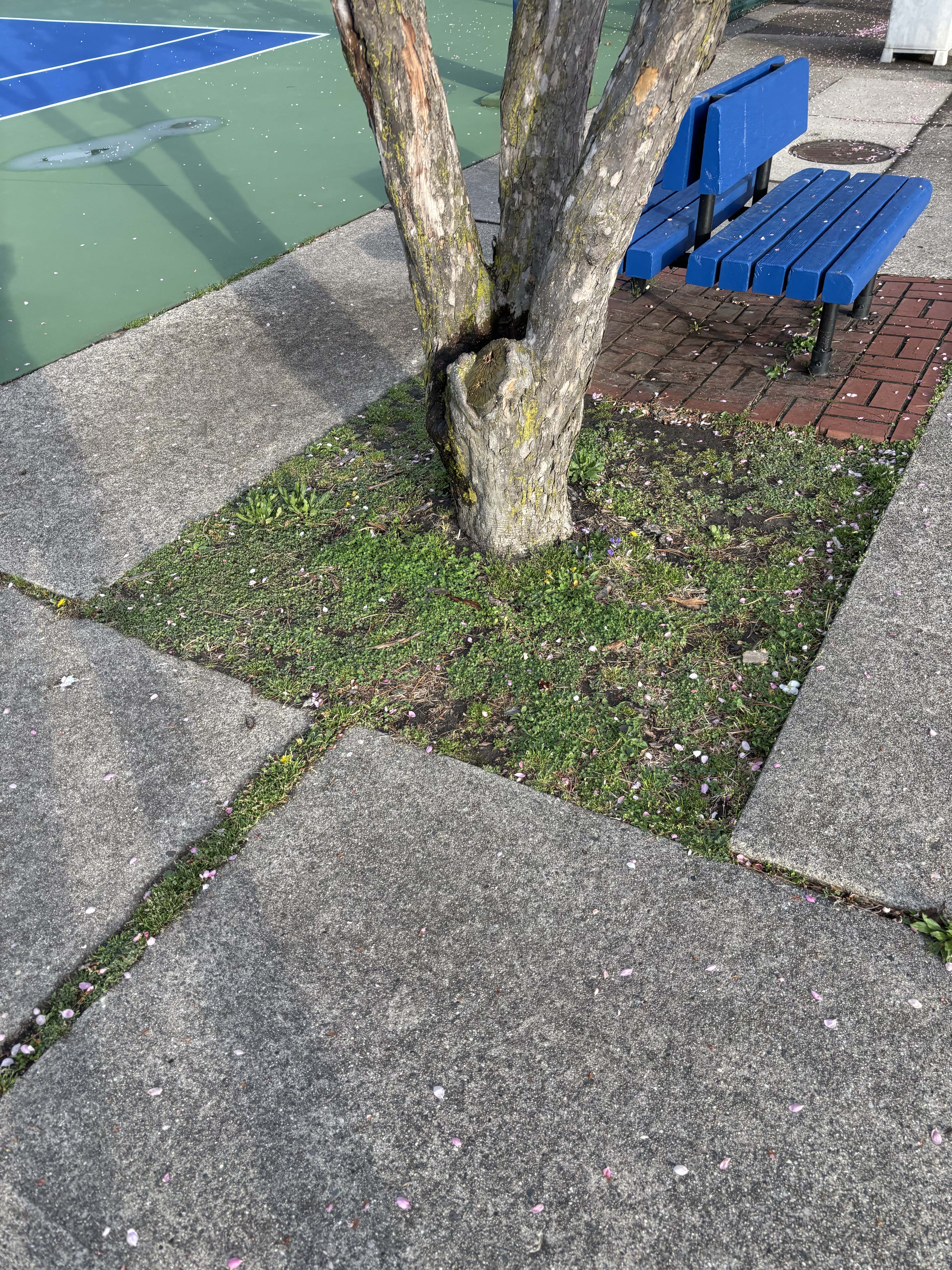 Community activity at Elworthy Field