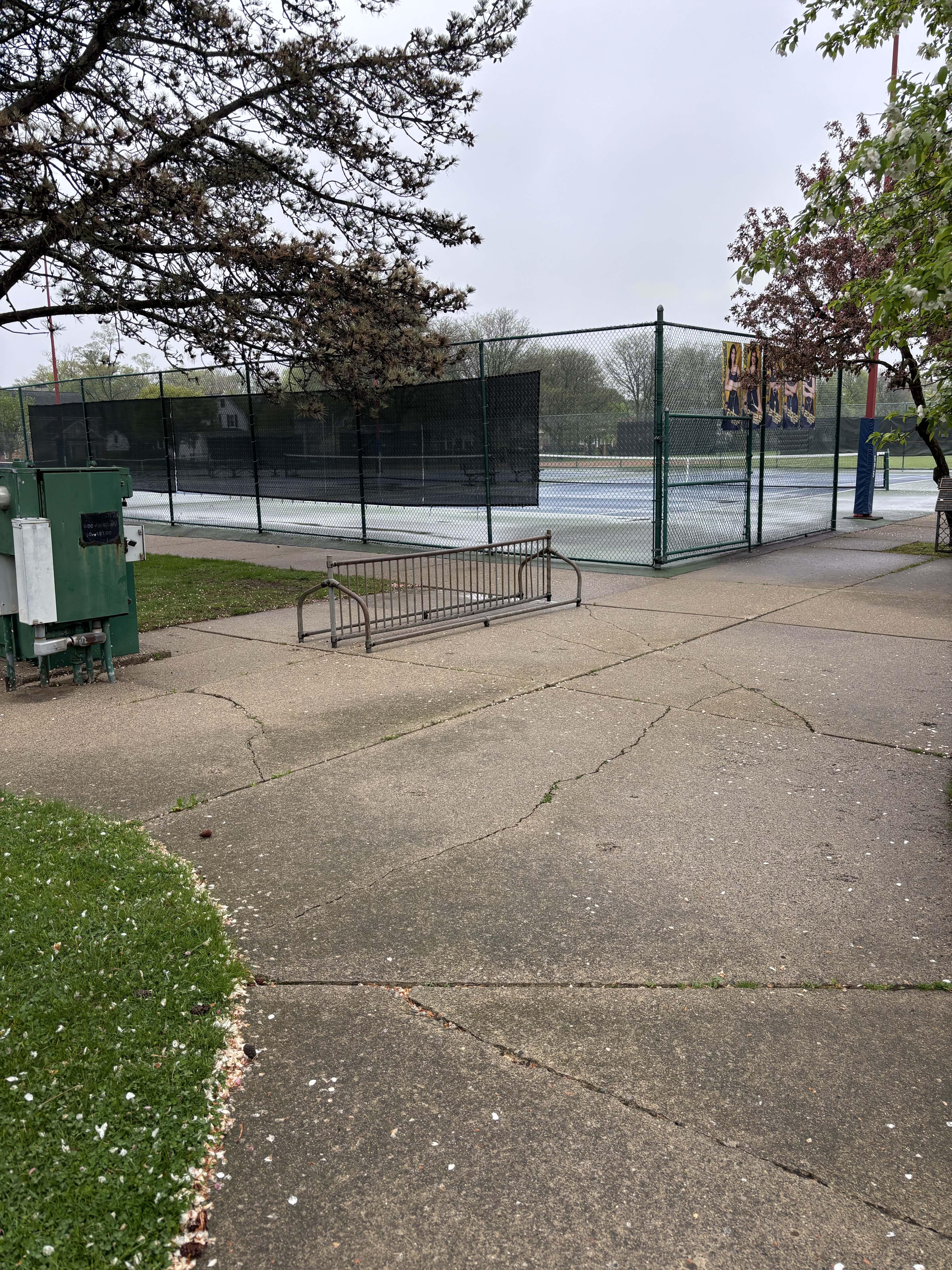 Community activity at Elworthy Field