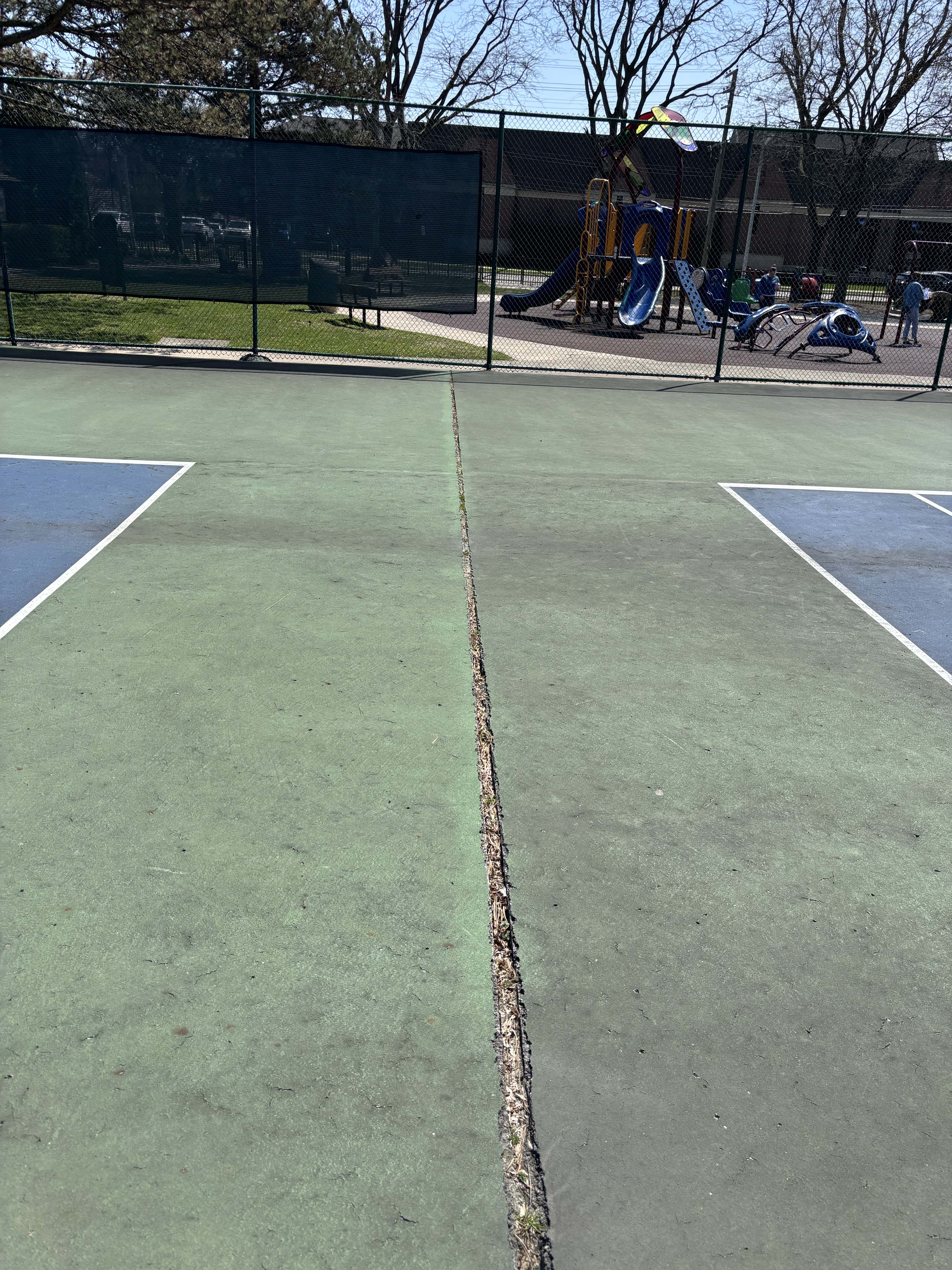 Community activity at Elworthy Field